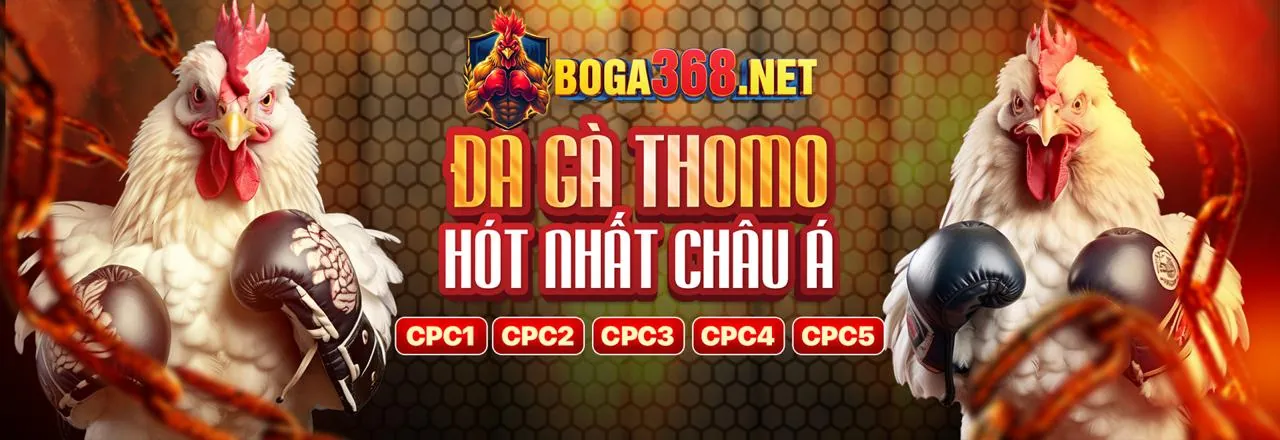 Trung tâm hỗ trợ khách hàng của 88xx casino